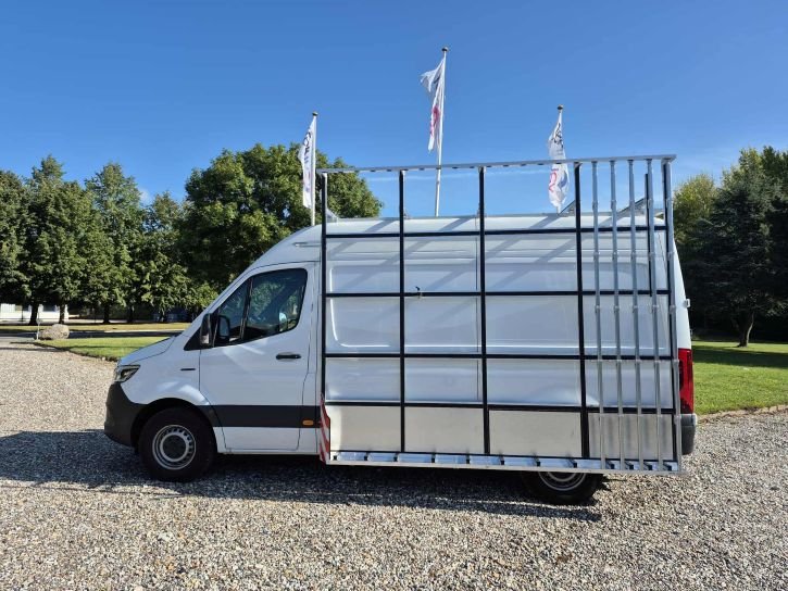 Glasgestelltyp 5+5 - Mercedes eSprinter L2H2 2020-