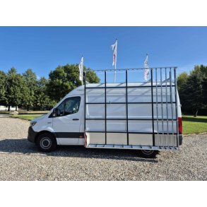 Glasgestelltyp 5+5 - Mercedes eSprinter L2H2 2020-